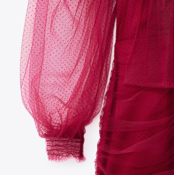 ZARA | Bloggers Fave Tulle Swiss Dot Dress Fuchsia - Picture 14 of 16